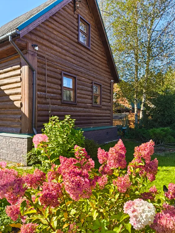 Коттедж Уютный дом с камином, с арендой сап бордов — Истра