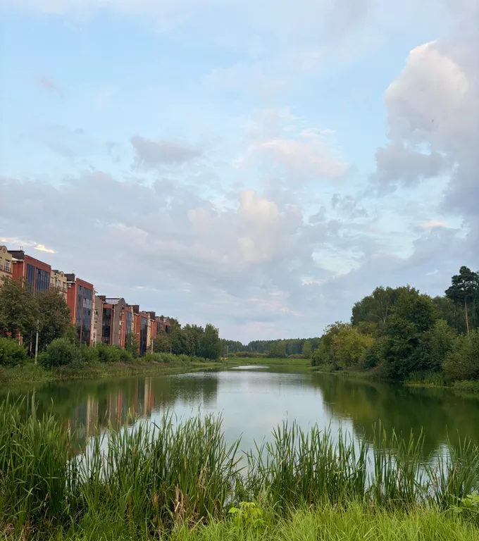 Квартира с видом на пруд и лес