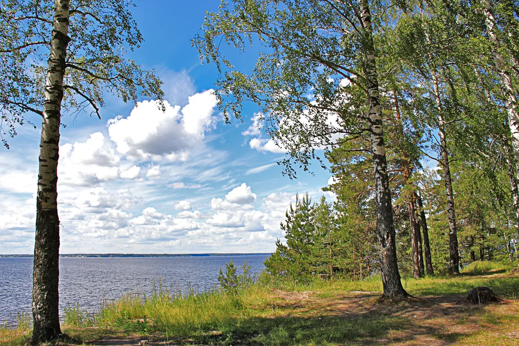 Дом на Горьковском море