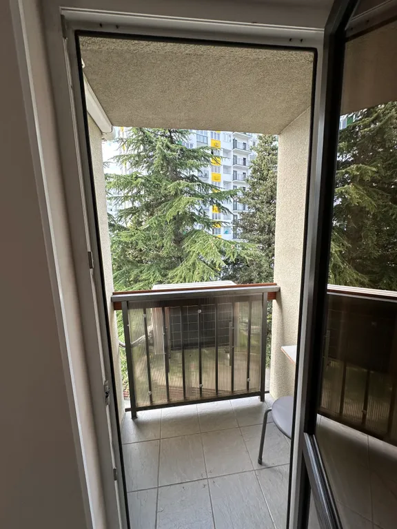 Большая квартира в сириусе