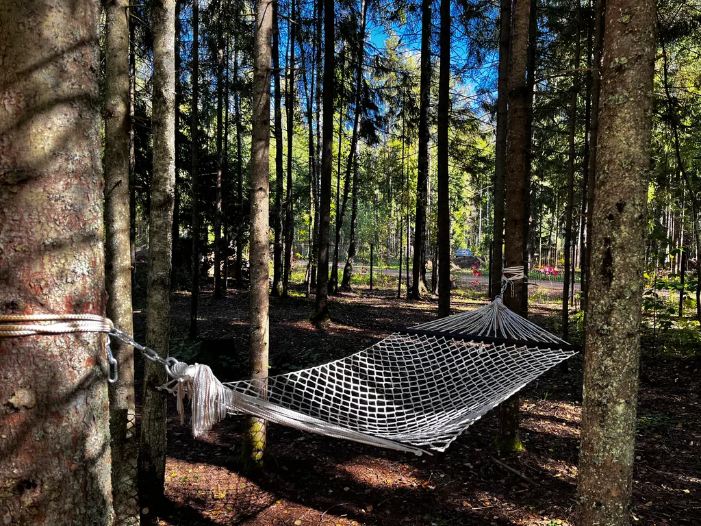 Коттедж Дизайнерский коттедж на берегу озера Волго на Селигере — Турбаза Чайка