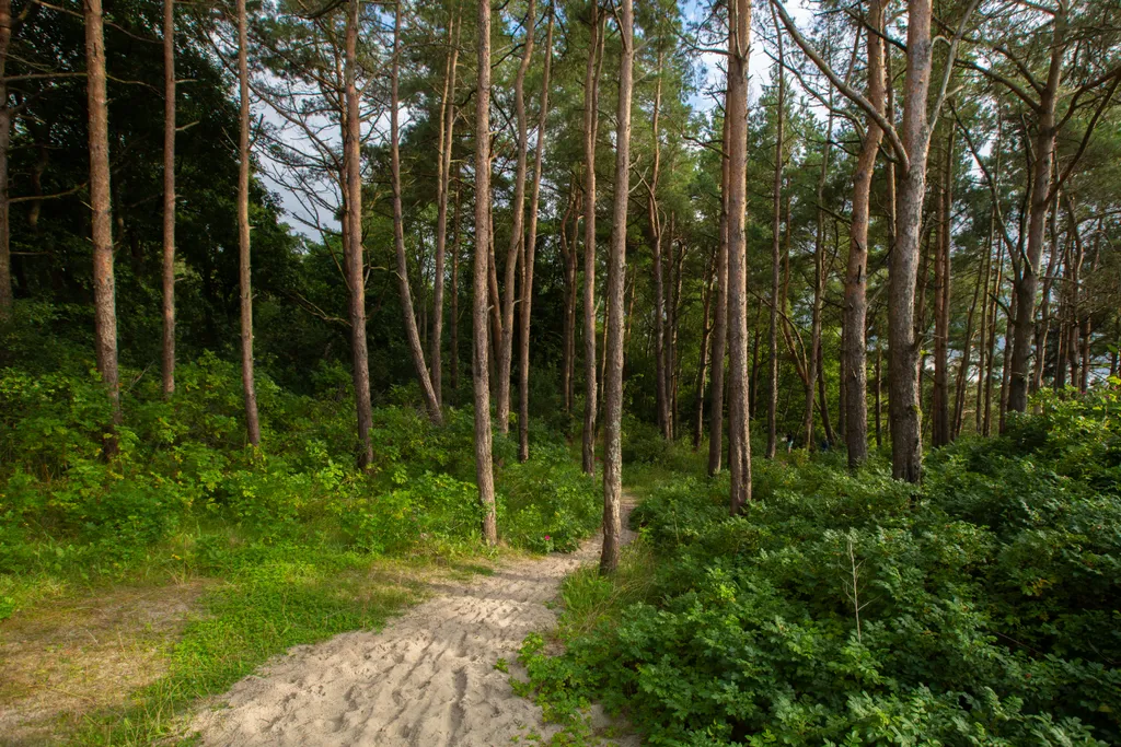 Барн Приморье: комфорт, рыбалка, прогулки к морю
