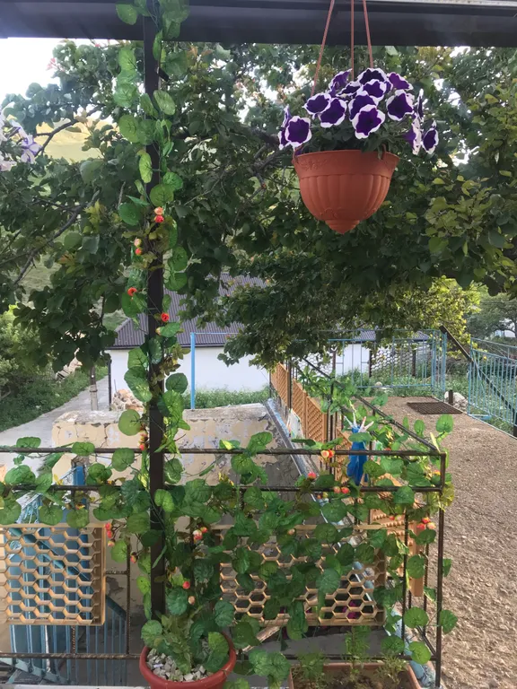 Апартаменты с видом на горы