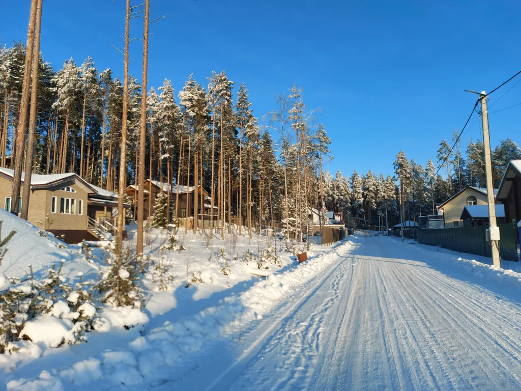 Уютный новый дом в сосновом лесу на берегу Финского залива