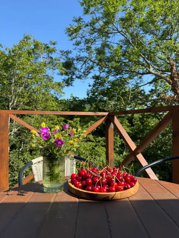 Дом Афрейм с банным чаном и баней у леса