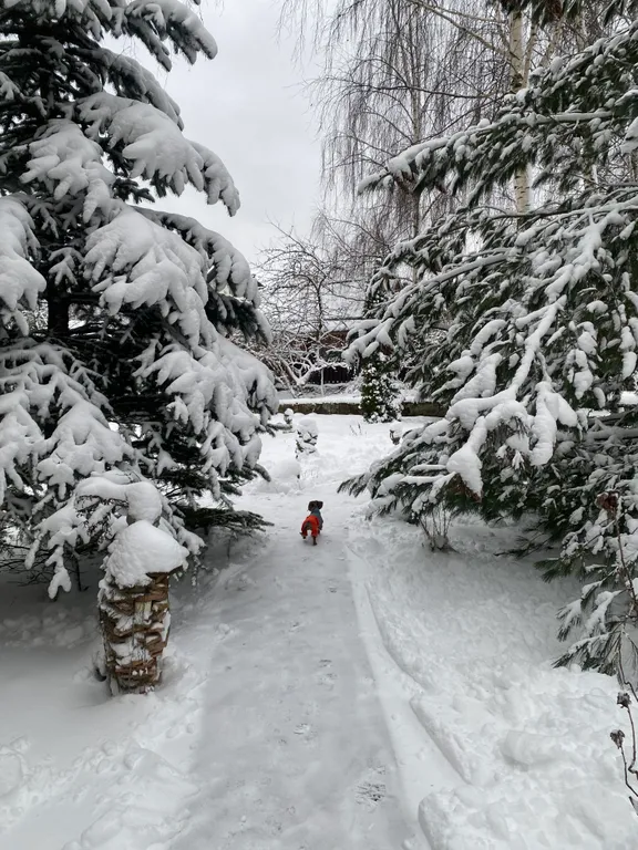 Коттедж с баней и джакузи рядом с горками