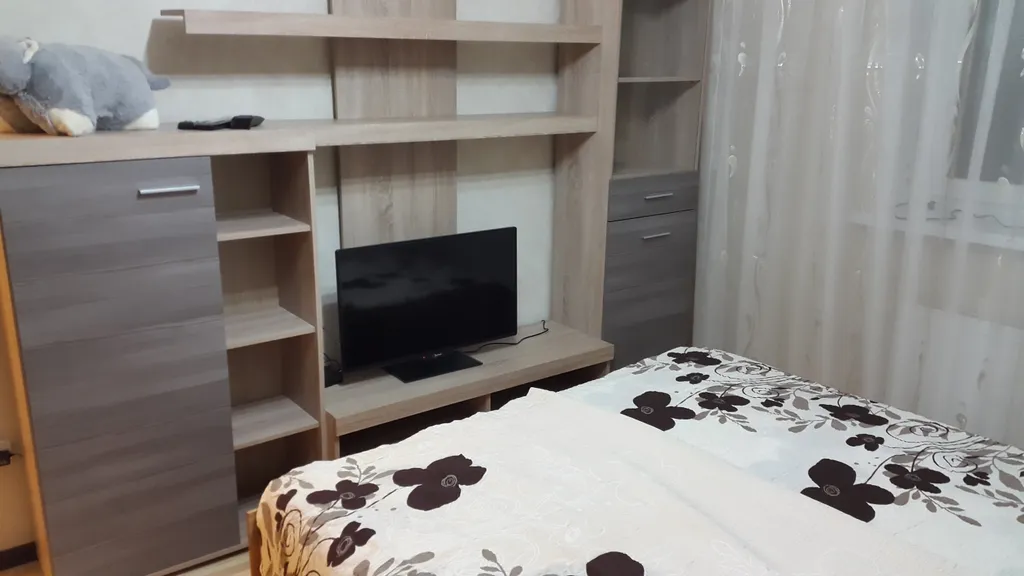 Квартира 1-комнатная Квартира — Светлогорск