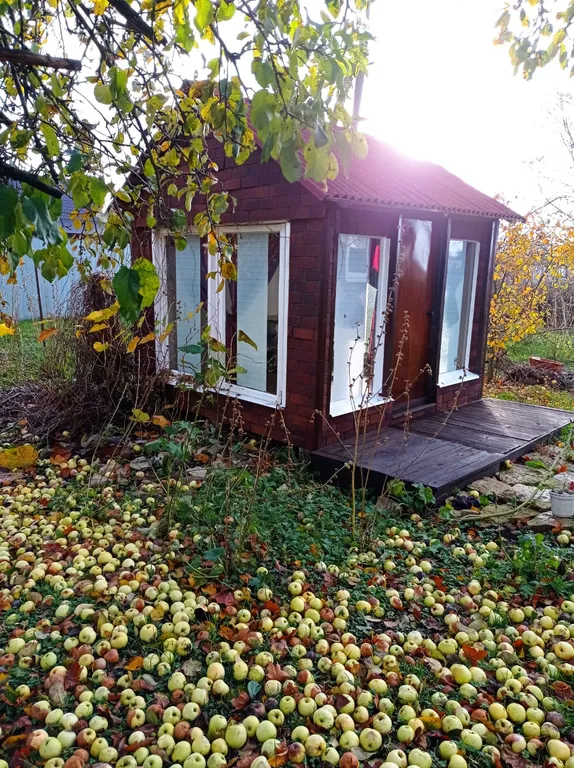 Домик в поселке Беседа