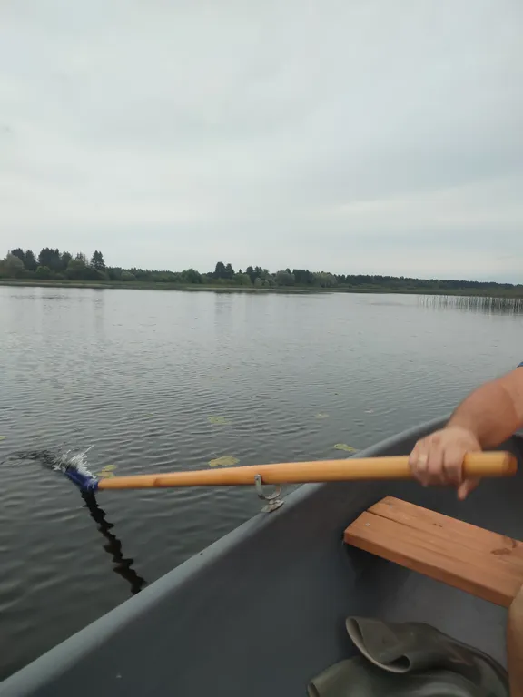 Коттедж Дом с 1 спальней — Надевицы