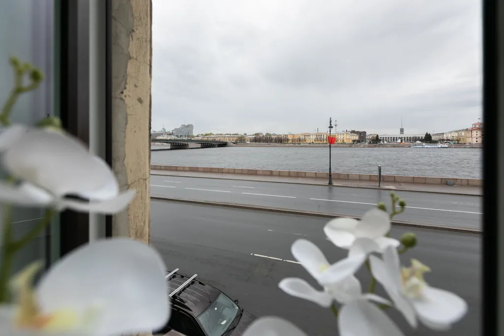 Вид на Неву, новый ремонт