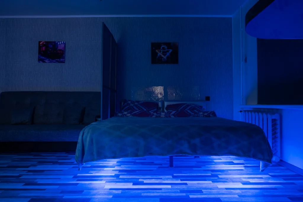 Уютная студия с красивым видом у леса