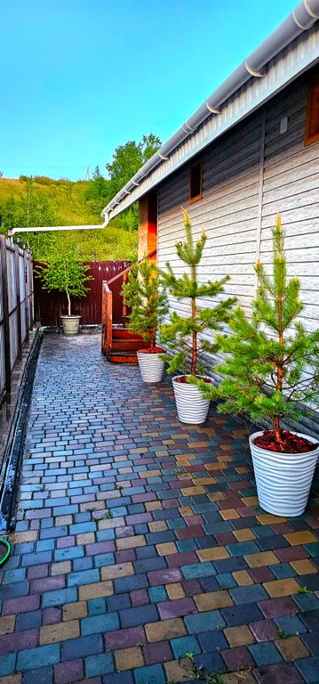 Таунхаус возле города с баней и купелью