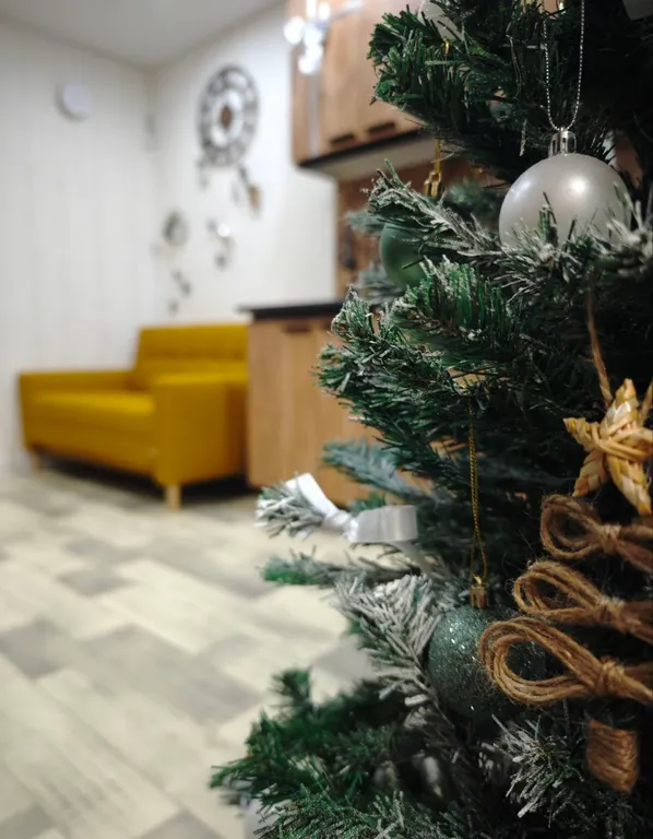 Городская дача