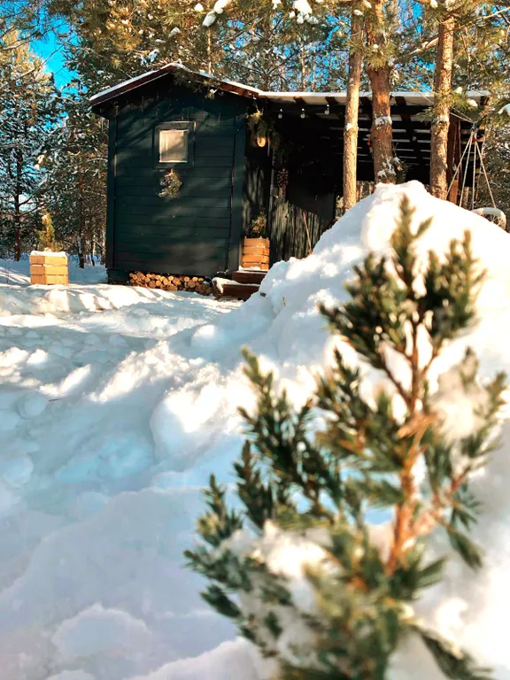 Уютный и теплый мини домик ТиниДача Можжевельник в лесу