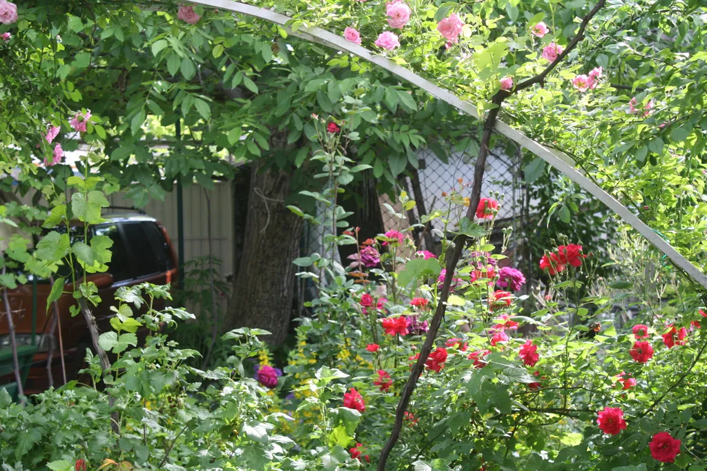 Уютный дом в центре города