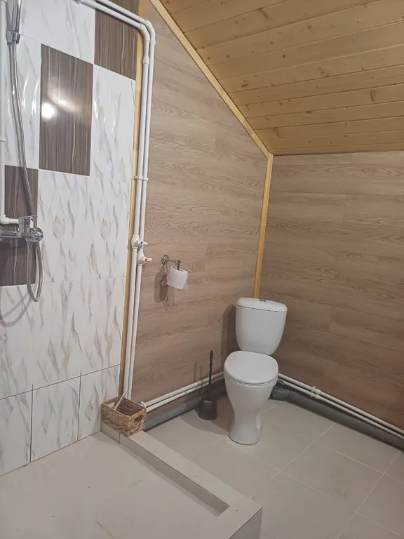 Комплекс жили - были