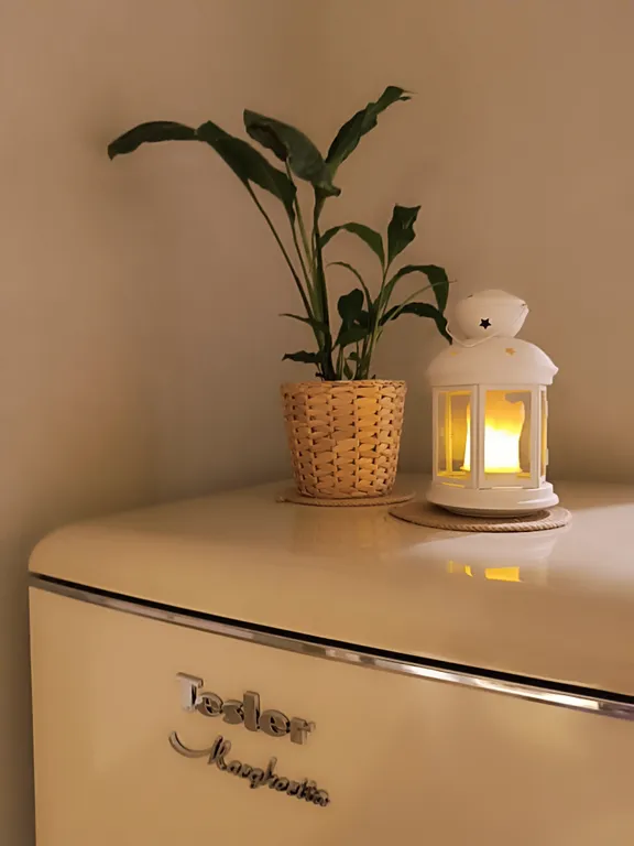 Элегантная квартира в центре города