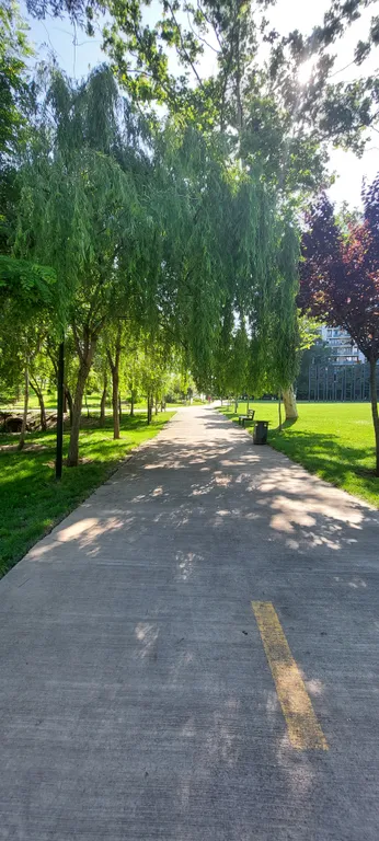 Просторный апартамент возле парка в центре Ваке