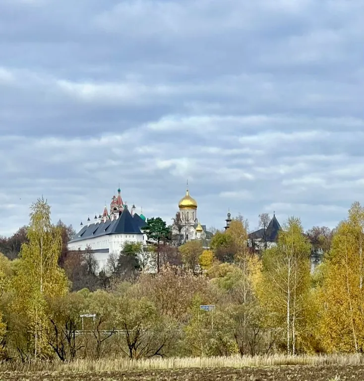 Коттедж Саввушка с видом на монастырь