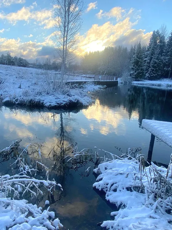 Дом Уютный на заливе реки Нерль с видом на лес