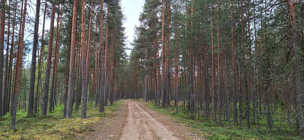 Коттедж Дом в уютном тихом месте на берегу реки Селижаровка — Уревы