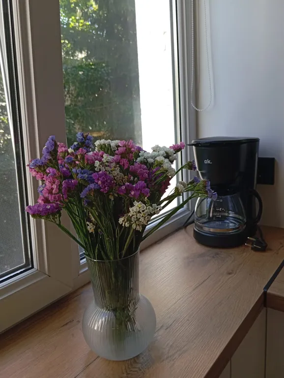 Квартира Уютная квартира в центре города — Калининград