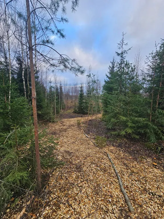 Коттедж Вилла Kaksi с видом на озеро и каменной зоной барбекю — Приозерск