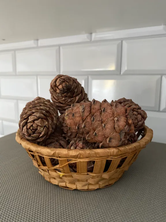 Квартира Квартира Уютная студия в тихом районе города — Таштагол