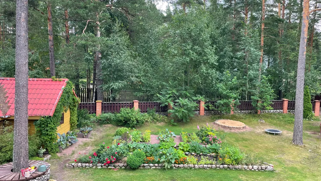 Коттедж Уютный домик в сосновом бору на берегу финского залива — Ключевое