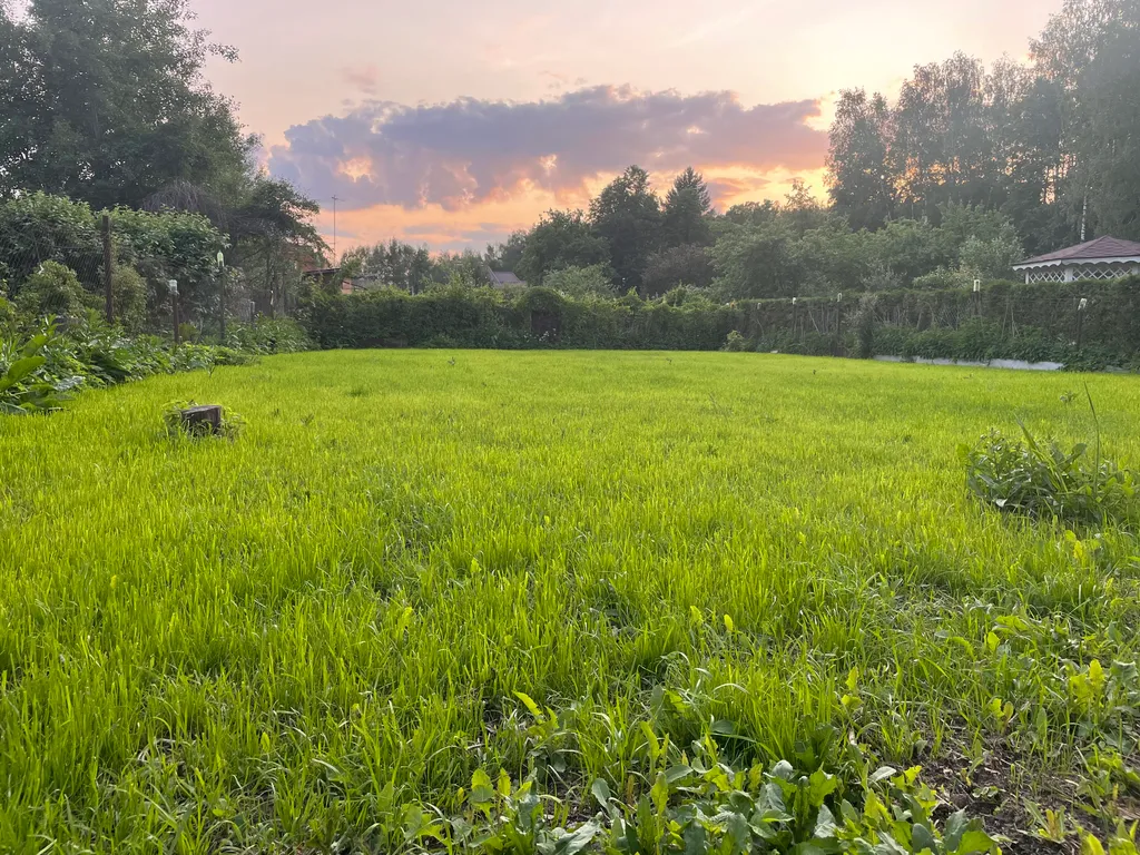 Уютный дом в окружении леса