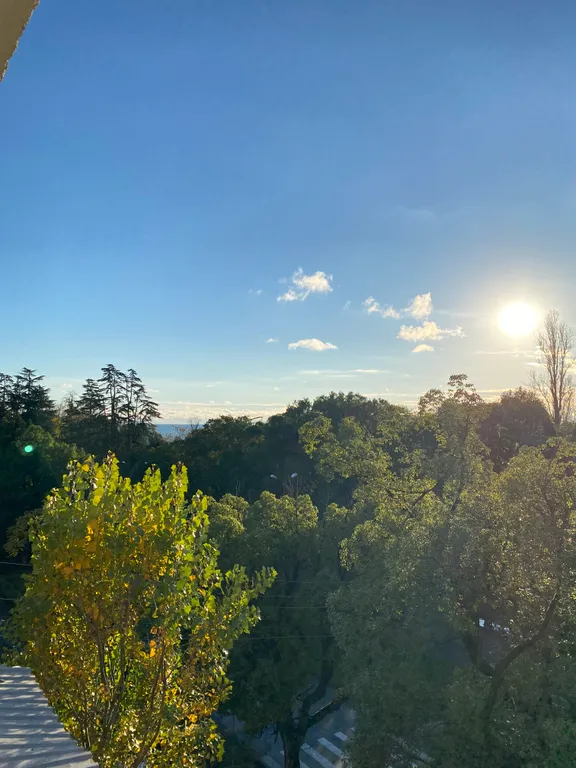 Квартира Большая квартира с огромными балконами — Сухум