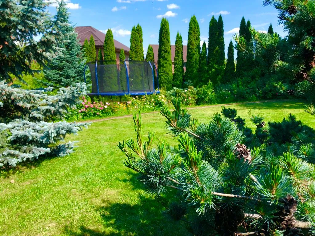 Дом с бассейном и сауной в 5 минутах на автомобиле до Коломенского Кремля