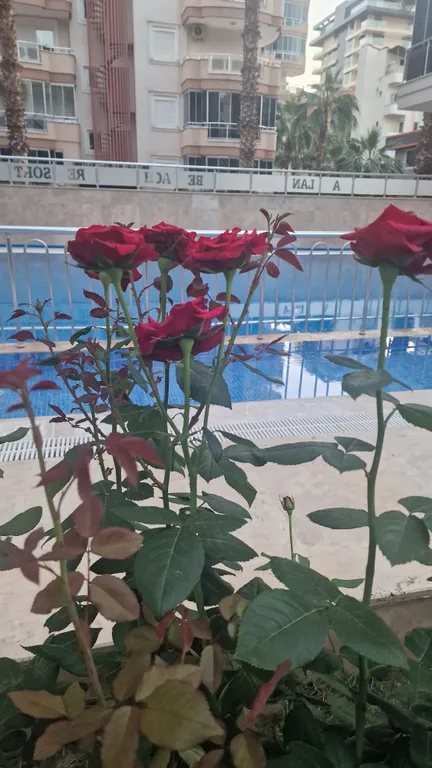 Квартира в комплексе с бассейном