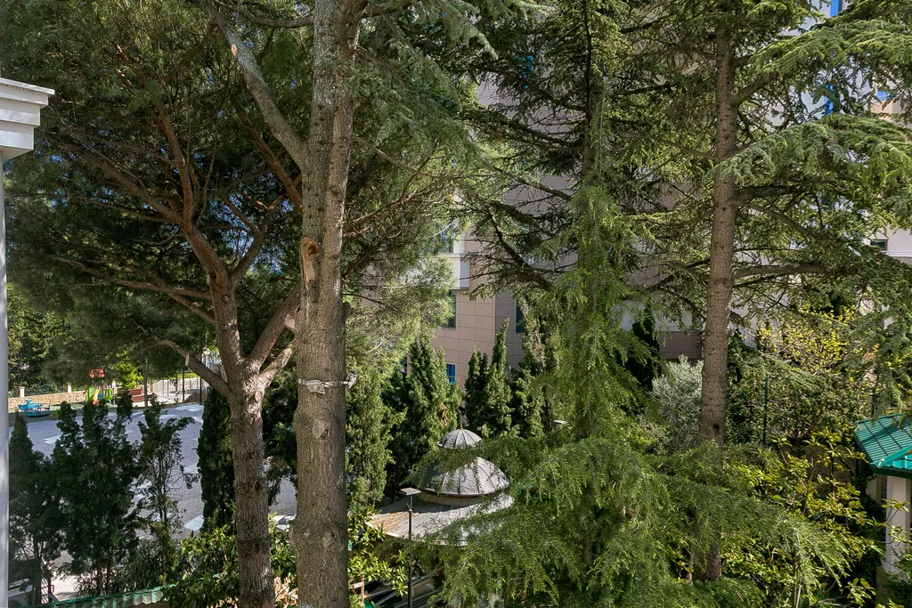 Нежность дополнительное место для пятого гостя