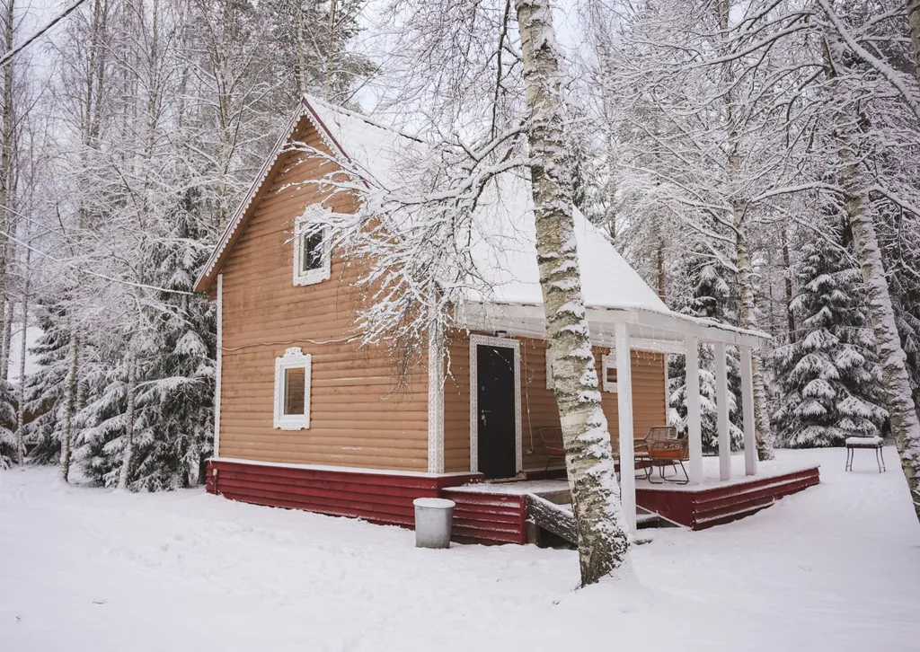 Коттедж 2-комнатный Дом — Мичуринское