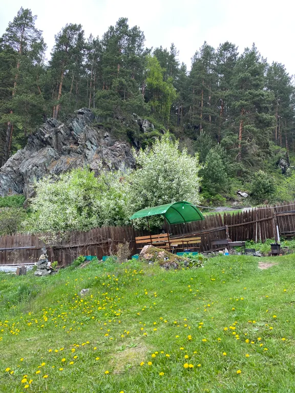 Коттедж для больших компаний на Алтае