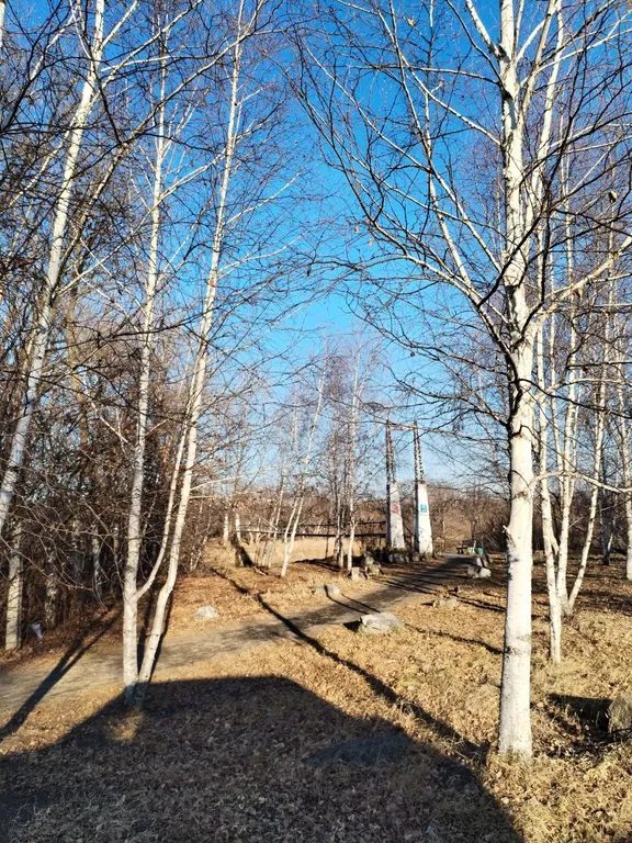 Квартира Уютная двухкомнатная квартира в исторической части курорта Шмаковка — Лесозаводск