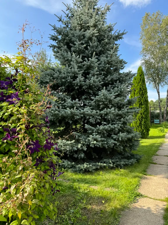 Дача художника с русской баней