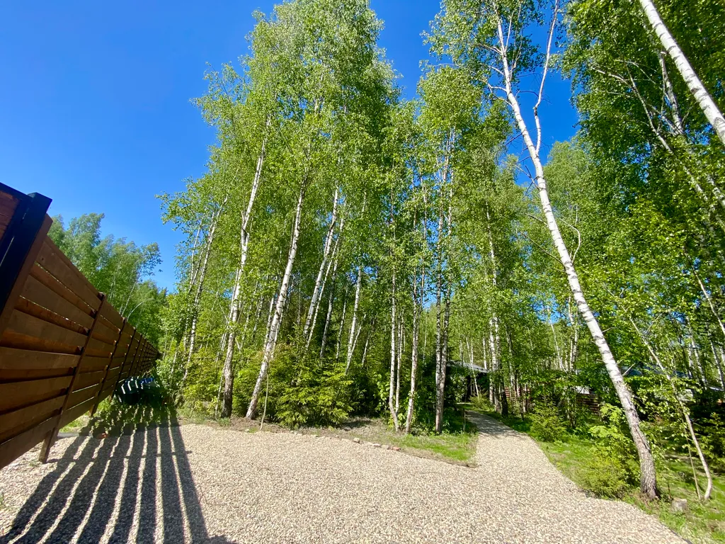 Коттедж Домик в лесу с сауной и купелью — Гжель