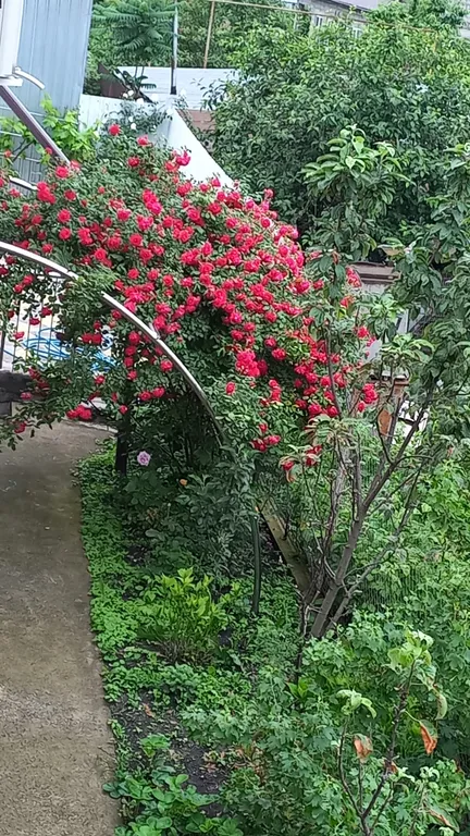 Уютная комната в доме с ванной комнатой