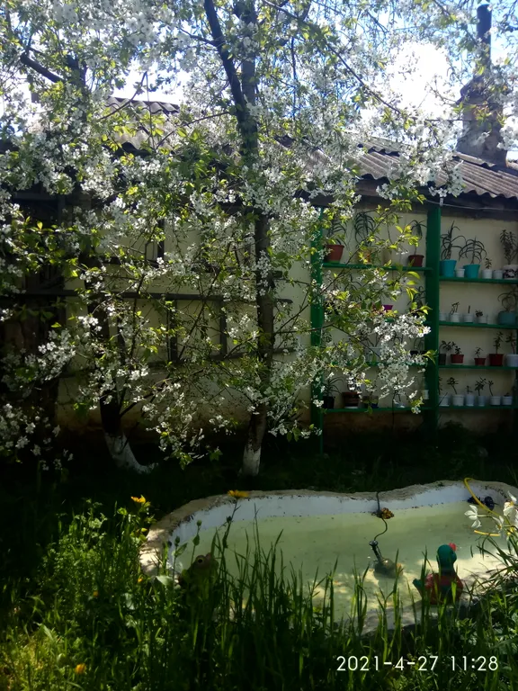 Комната с камином