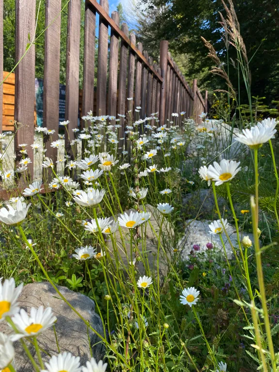 Уютный номер со всеми удобствами