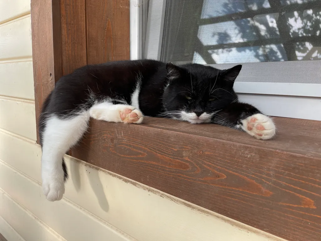 Коттедж Милый домик рядом с озером Ильмень — Великий Новгород