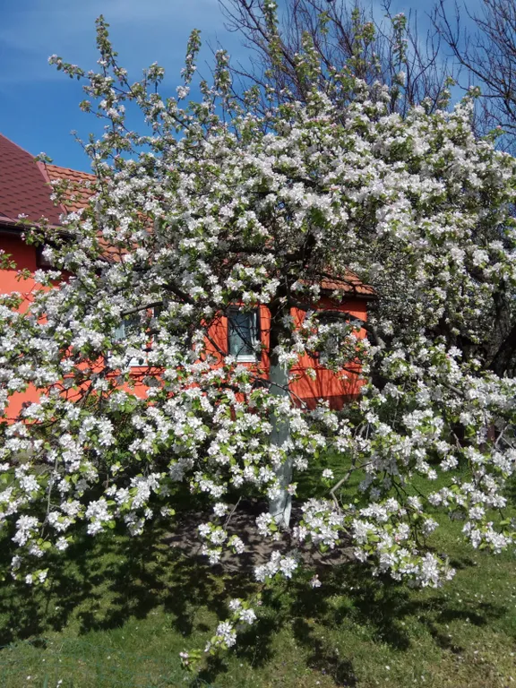 В 10 минутах от Балтийского моря