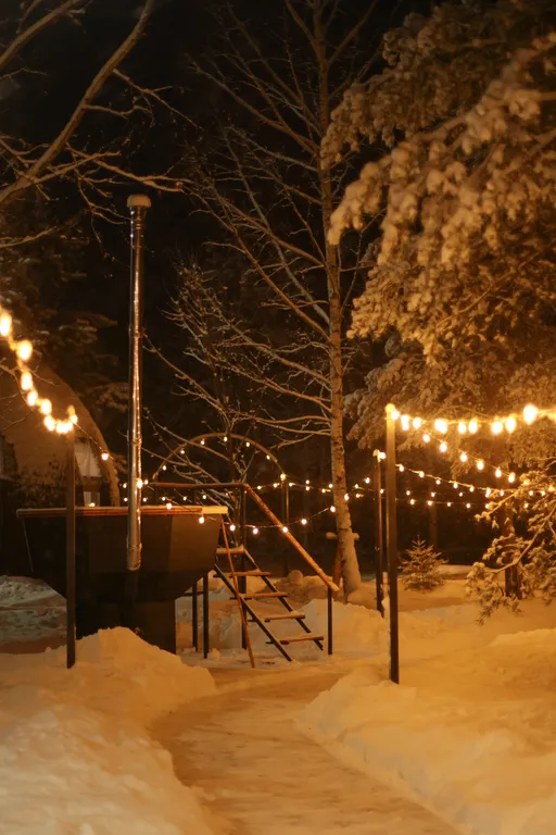 Уникальный купольный дом среди хвойного леса