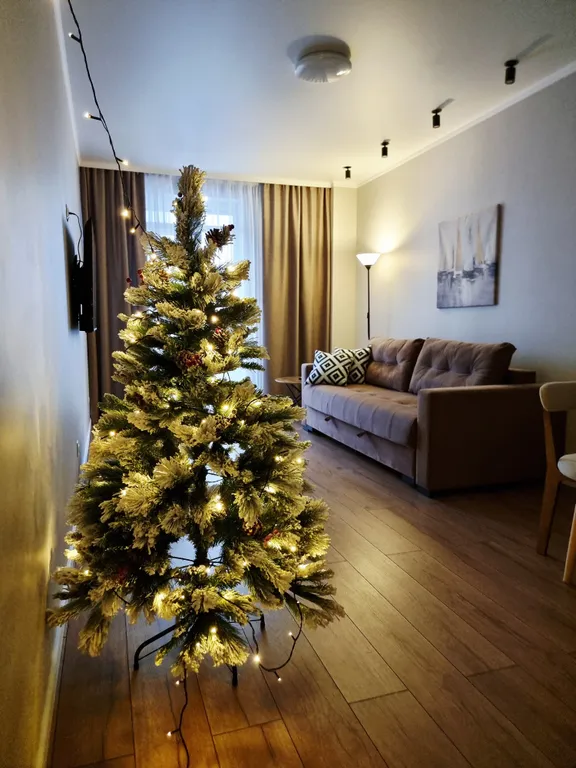 Уютная квартира с шикарным видом на город — аренда посуточно в Красноярск