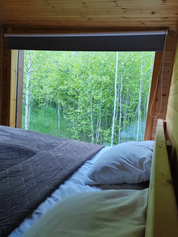 Скандинавский домик с панорамным окном в лесу