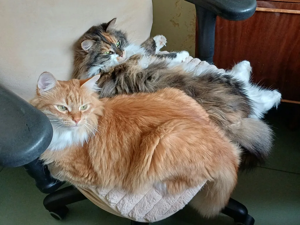 Квартира Квартира Уголок мечтателя (метро Проспект Славы) — Санкт-Петербург