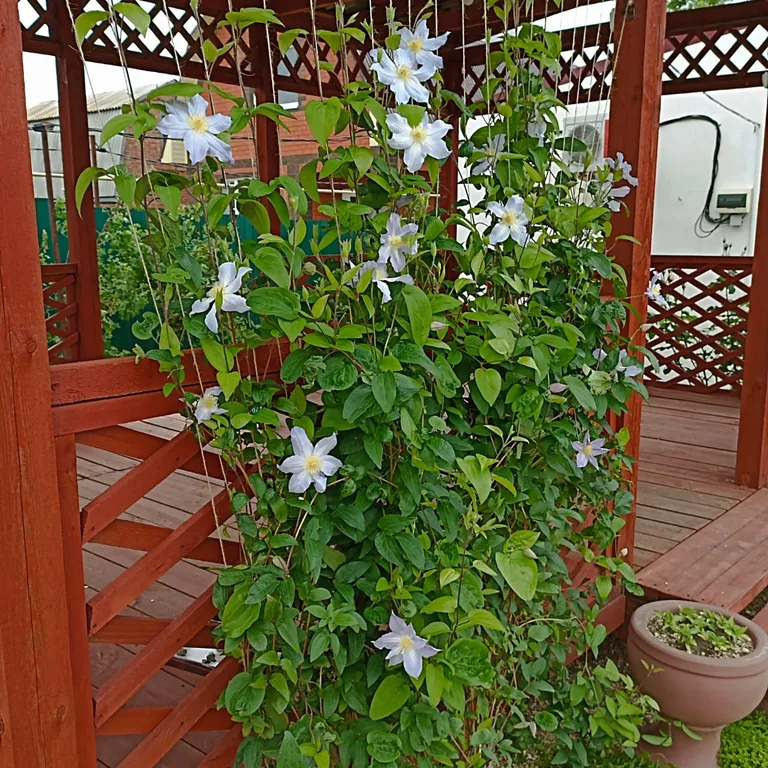 Комфортный коттедж