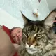 Михаил
